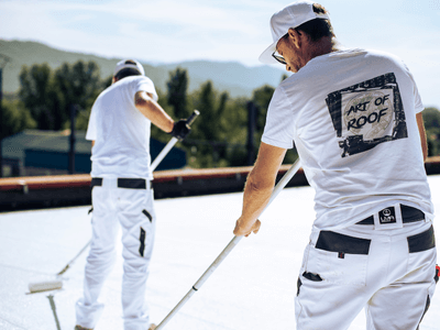 About Leaking Skylight Repair Pros Indian Valley, ID